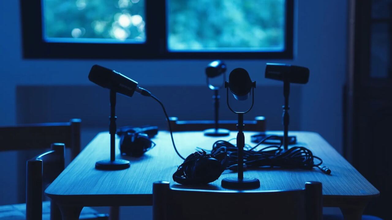 Studio microphone used for voice recording